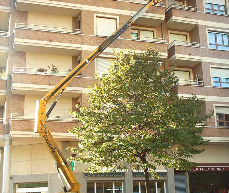 Catalunya 22 al 52 Basauri